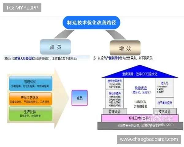 提升ag竞咪厅全站登录效率的实用技巧与操作流程介绍